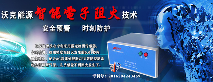 MG不朽情缘能源电子阻火器.jpeg