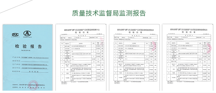 MG不朽情缘能源检测报告