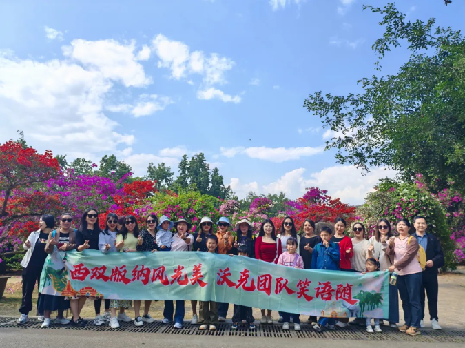MG不朽情缘能源西双版纳团建.png
